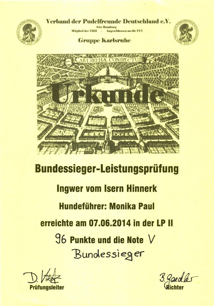 Wann punkte siegerurkunde ab Zu schnell